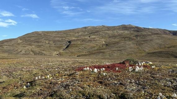 PLA11-24, Day 9,  IMG_E5816_© Ursula Tscherter © Ursula Tscherter - Oceanwide Expeditions.jpg