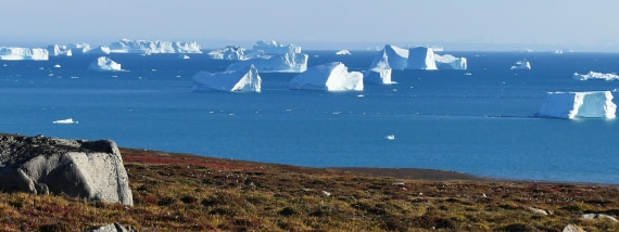 PLA11-24, Day 11,  Sydcap icebergs long 1 © Unknown photographer - Oceanwide Expeditions.JPG