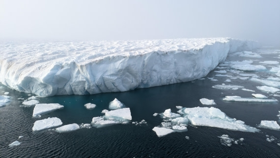 HDS12-24, Day 4,  PXL_20240828_135246182 © Unknown photographer - Oceanwide Expeditions.jpg