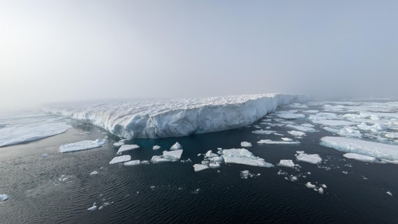 HDS12-24, Day 4,  PXL_20240828_135250594 © Unknown photographer - Oceanwide Expeditions.jpg