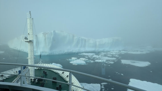 HDS12-24, Day 4,  PXL_20240828_141938968 © Unknown photographer - Oceanwide Expeditions.jpg