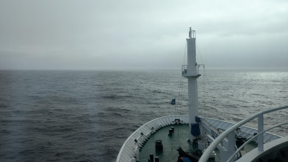 HDS12-24, Day 4,  PXL_20240906_122949241 © Unknown photographer - Oceanwide Expeditions.jpg