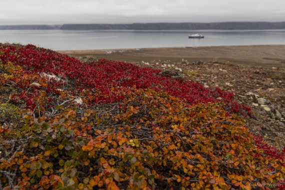 HDS12-24, Day 7,  Fleming Fjord 2 © Sara Jenner - Oceanwide Expeditions.jpg