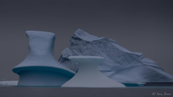 HDS12-24, Day 8,  Bjorne Ore 2 © Sara Jenner - Oceanwide Expeditions.jpg