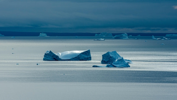 HDS12-24, Day 10,  PAZ_8626 © Alexander Romanovskiy - Oceanwide Expeditions.jpg