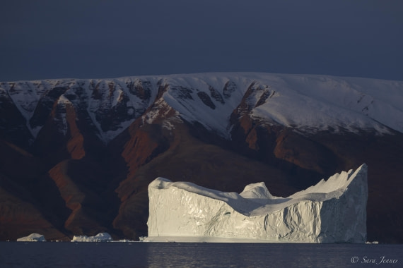 HDS12-24, Day 11,  Harefjord 2 © Sara Jenner - Oceanwide Expeditions.jpg