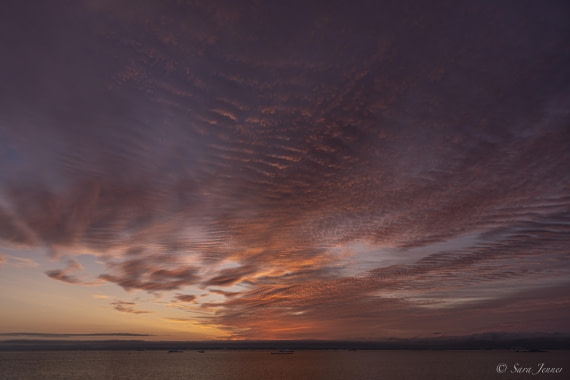 HDS12-24, Day 12,  Sunrise 1 © Sara Jenner - Oceanwide Expeditions.jpg