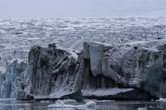 HDS12-24, Day 12,  Vikingebugt 1 © Sara Jenner - Oceanwide Expeditions.jpg