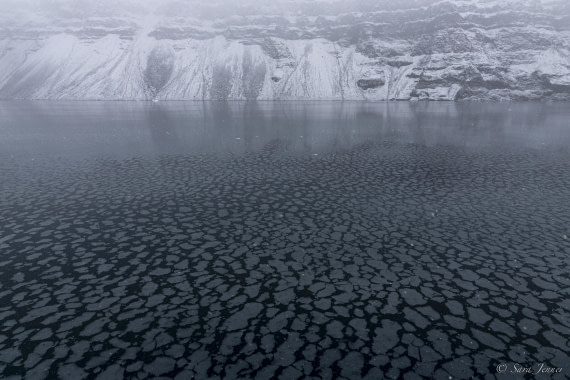 HDS12-24, Day 12,  Vikingebugt 2 © Sara Jenner - Oceanwide Expeditions.jpg