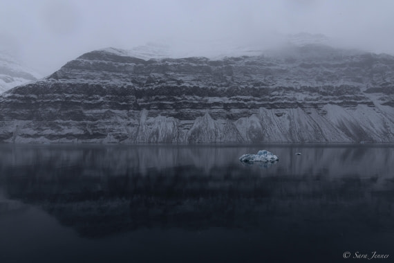 HDS12-24, Day 12,  Vikingebugt 3 © Sara Jenner - Oceanwide Expeditions.jpg