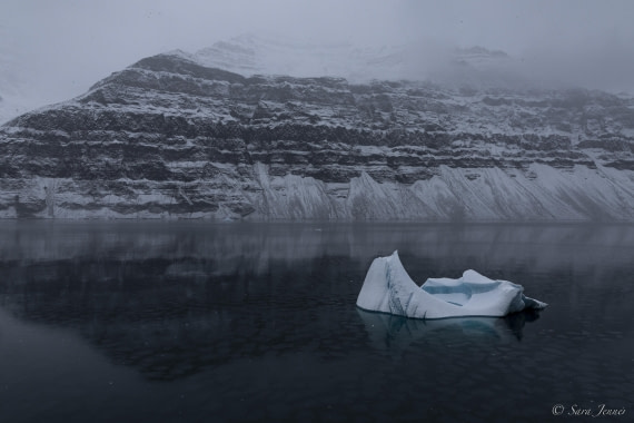 HDS12-24, Day 12,  Vikingebugt 4 © Sara Jenner - Oceanwide Expeditions.jpg