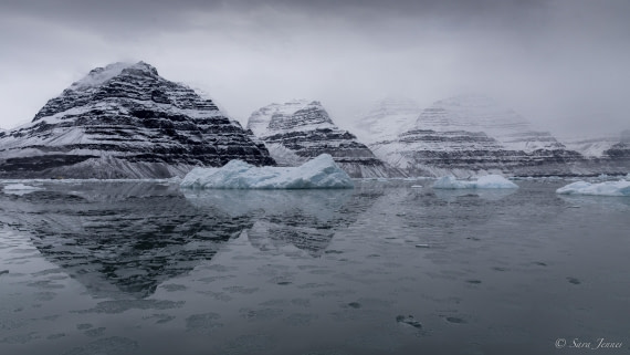 HDS12-24, Day 12,  Vikingebugt 6 © Sara Jenner - Oceanwide Expeditions.jpg