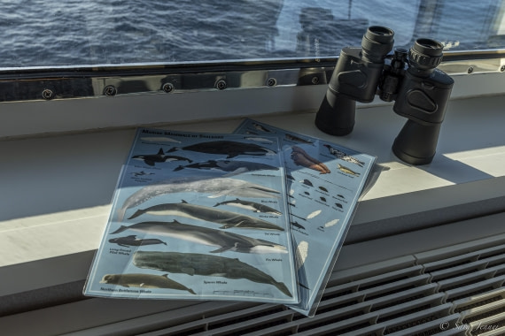 HDS12-24, Day 13,  Bridge watch © Sara Jenner - Oceanwide Expeditions.jpg