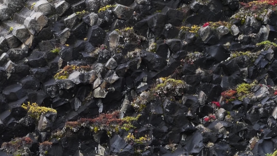 PLA12-24, Day 3,  _9020133_© Ursula Tscherter © Ursula Tscherter - Oceanwide Expeditions.JPG