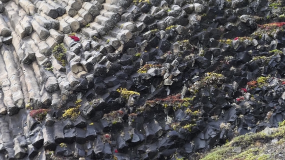 PLA12-24, Day 3,  _9020137_© Ursula Tscherter © Ursula Tscherter - Oceanwide Expeditions.JPG