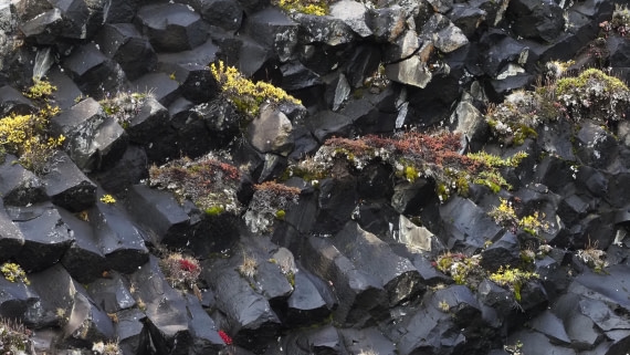 PLA12-24, Day 3,  _9020154_© Ursula Tscherter © Ursula Tscherter - Oceanwide Expeditions.JPG