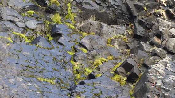 PLA12-24, Day 3,  _9020211_© Ursula Tscherter © Ursula Tscherter - Oceanwide Expeditions.JPG