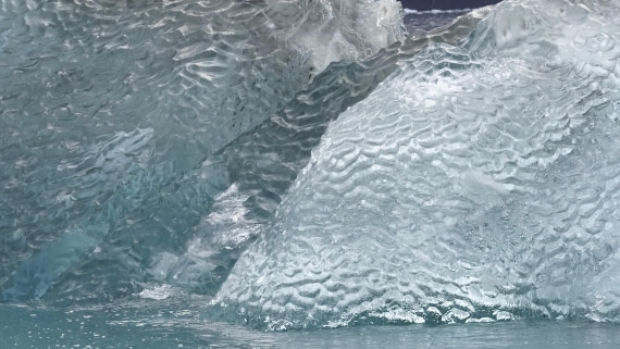 PLA12-24, Day 3,  _9020251_© Ursula Tscherter © Ursula Tscherter - Oceanwide Expeditions.JPG