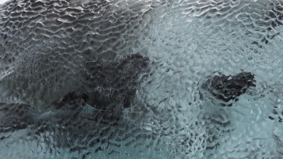 PLA12-24, Day 3,  _9020253_© Ursula Tscherter © Ursula Tscherter - Oceanwide Expeditions.JPG