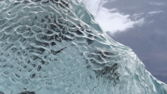 PLA12-24, Day 3,  _9020275_© Ursula Tscherter © Ursula Tscherter - Oceanwide Expeditions.JPG