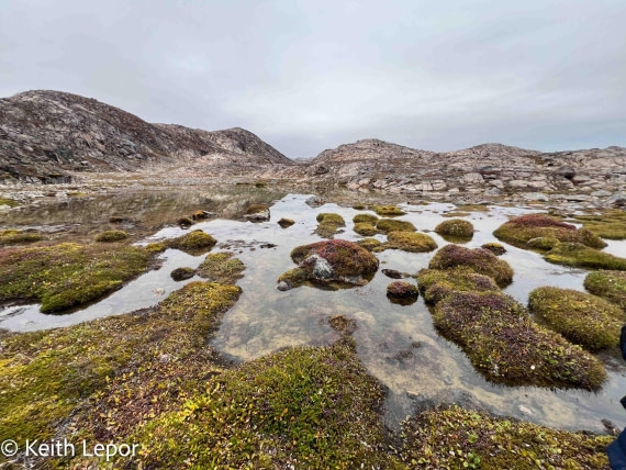 PLA12-24, Day 3,  IMG_1111-2 © Keith Lepor - Oceanwide Expeditions.jpg
