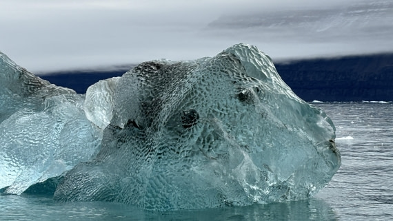 PLA12-24, Day 3,  IMG_E6336_© Ursula Tscherter © Ursula Tscherter - Oceanwide Expeditions.jpg