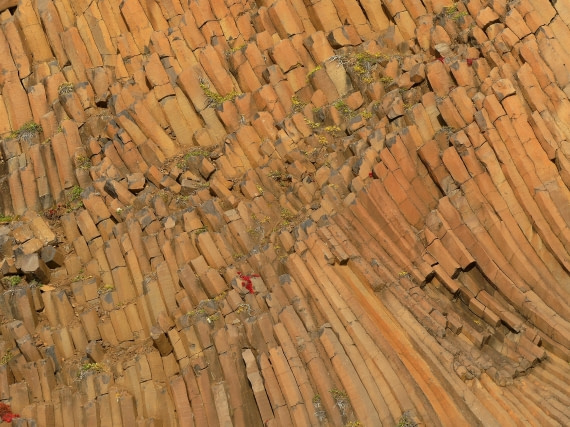 PLA12-24, Day 3,  P1580703 © Unknown photographer - Oceanwide Expeditions.JPG