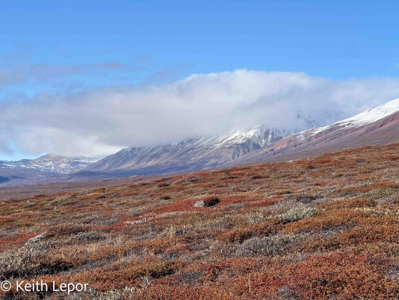 PLA12-24, Day 4,  IMG_1531-3 © Keith Lepor - Oceanwide Expeditions.jpg