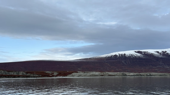 PLA12-24, Day 4,  IMG_E6468_© Ursula Tscherter © Ursula Tscherter - Oceanwide Expeditions.jpg