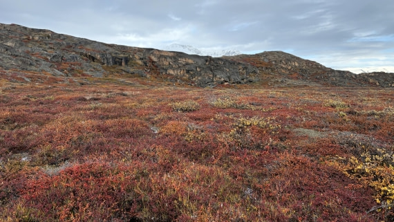 PLA12-24, Day 4,  IMG_E6491_© Ursula Tscherter © Ursula Tscherter - Oceanwide Expeditions.jpg