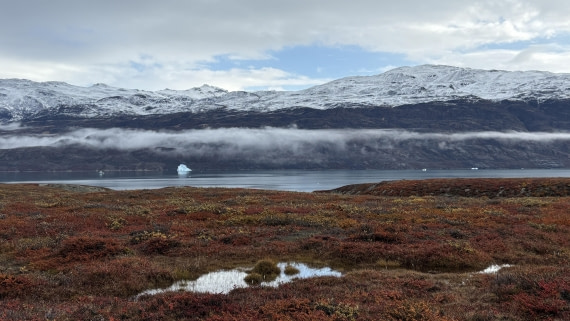 PLA12-24, Day 4,  IMG_E6498_© Ursula Tscherter © Ursula Tscherter - Oceanwide Expeditions.jpg