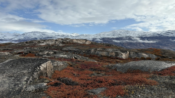 PLA12-24, Day 4,  IMG_E6507_© Ursula Tscherter © Ursula Tscherter - Oceanwide Expeditions.jpg