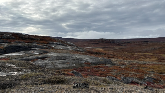 PLA12-24, Day 4,  IMG_E6513_© Ursula Tscherter © Ursula Tscherter - Oceanwide Expeditions.jpg