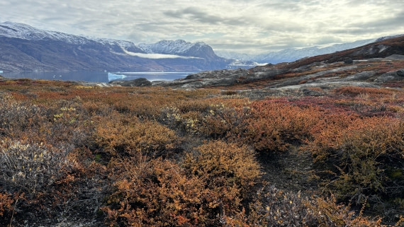 PLA12-24, Day 4,  IMG_E6518_© Ursula Tscherter © Ursula Tscherter - Oceanwide Expeditions.jpg