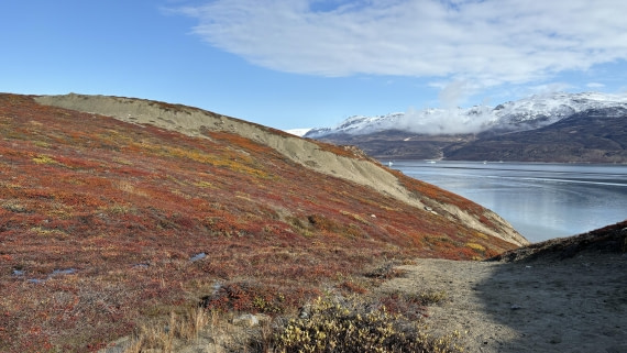 PLA12-24, Day 4,  IMG_E6541_© Ursula Tscherter © Ursula Tscherter - Oceanwide Expeditions.jpg