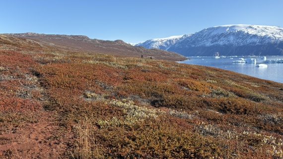 PLA12-24, Day 4,  IMG_E6553_© Ursula Tscherter © Ursula Tscherter - Oceanwide Expeditions.jpg