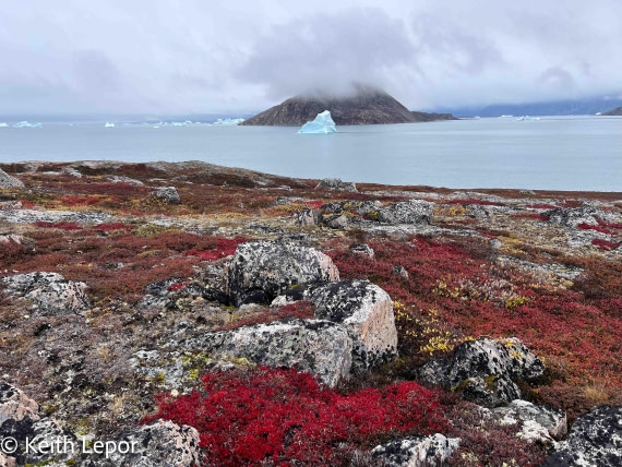 PLA12-24, Day 5,  IMG_2117-3 © Keith Lepor - Oceanwide Expeditions.jpg