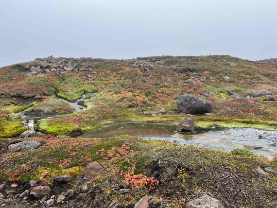 PLA12-24, Day 7,  IMG_3823 © Unknown photographer - Oceanwide Expeditions.jpg