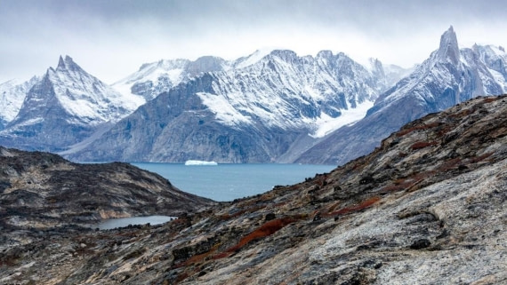 OTL11-24, Day 11,  Picture28 © Unknown photographer - Oceanwide Expeditions.jpg