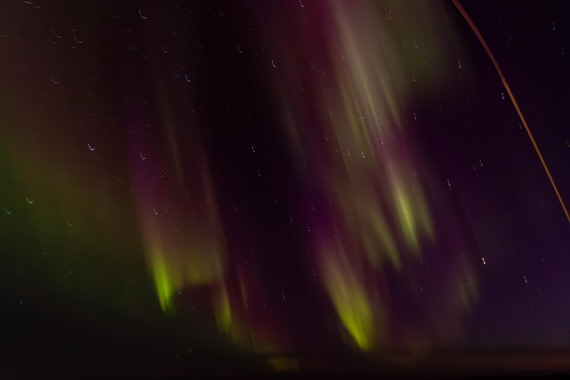 OTL12-24, Day 1,  095A4149 © Martin Anstee - Oceanwide Expeditions.jpg