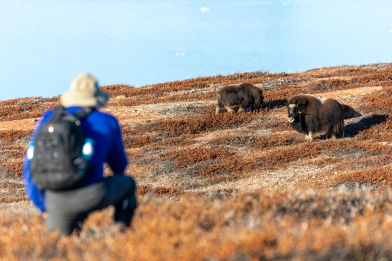 OTL12-24, Day 4,  _DSC7103 © Unknown photographer - Oceanwide Expeditions.jpg
