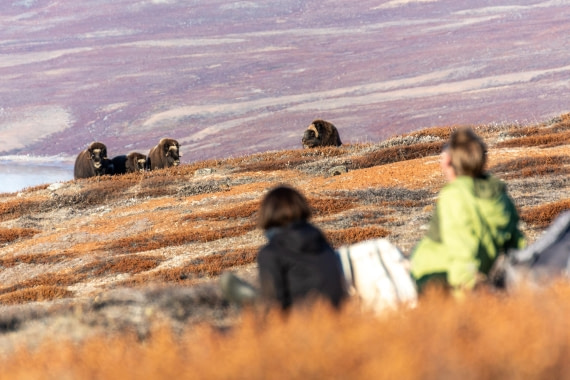OTL12-24, Day 4,  _DSC7111 © Unknown photographer - Oceanwide Expeditions.jpg