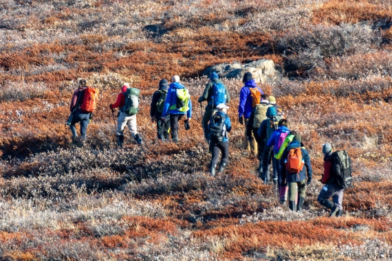OTL12-24, Day 4,  _DSC7130 © Unknown photographer - Oceanwide Expeditions.jpg