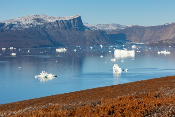 OTL12-24, Day 4,  FZ1A0787 © Unknown photographer - Oceanwide Expeditions.jpg