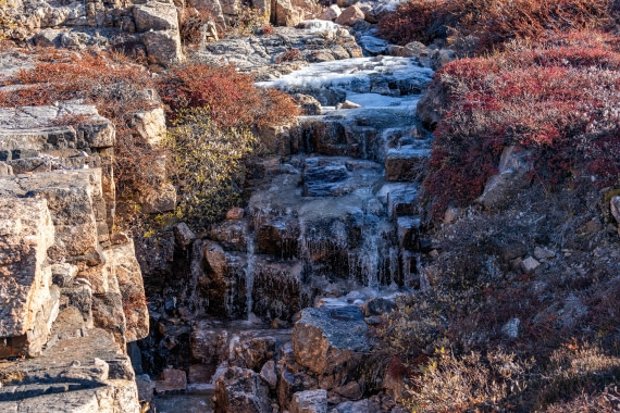 OTL12-24, Day 4,  FZ1A0877 © Unknown photographer - Oceanwide Expeditions.jpg