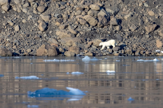 OTL12-24, Day 6,  088A2303 © Martin Anstee - Oceanwide Expeditions.jpg