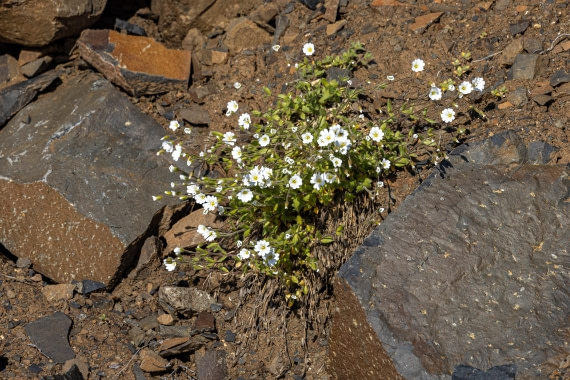 OTL12-24, Day 6,  088A2339 © Martin Anstee - Oceanwide Expeditions.jpg