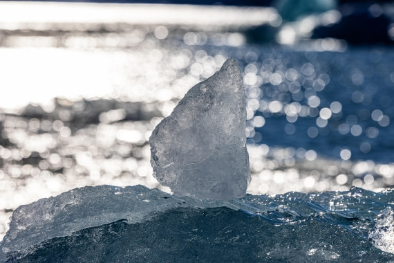 OTL12-24, Day 6,  088A2336 © Martin Anstee - Oceanwide Expeditions.jpg