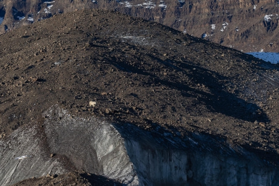 OTL12-24, Day 6,  FZ1A0930 © Unknown photographer - Oceanwide Expeditions.JPG