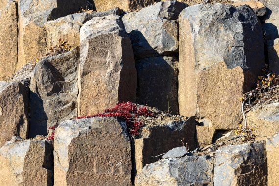 OTL12-24, Day 6,  088A2343 © Martin Anstee - Oceanwide Expeditions.jpg